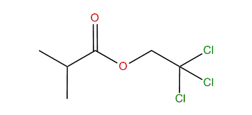 2,2,2-Trichloroethyl isobutyrate